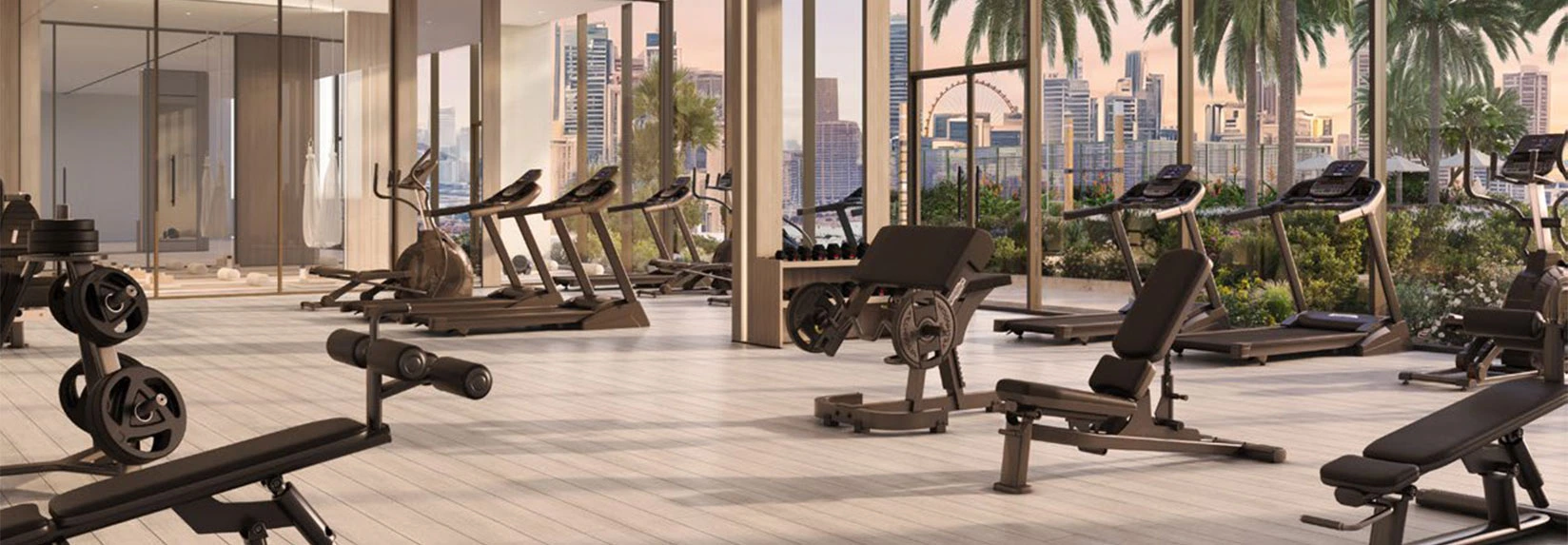 Sol Levante gym