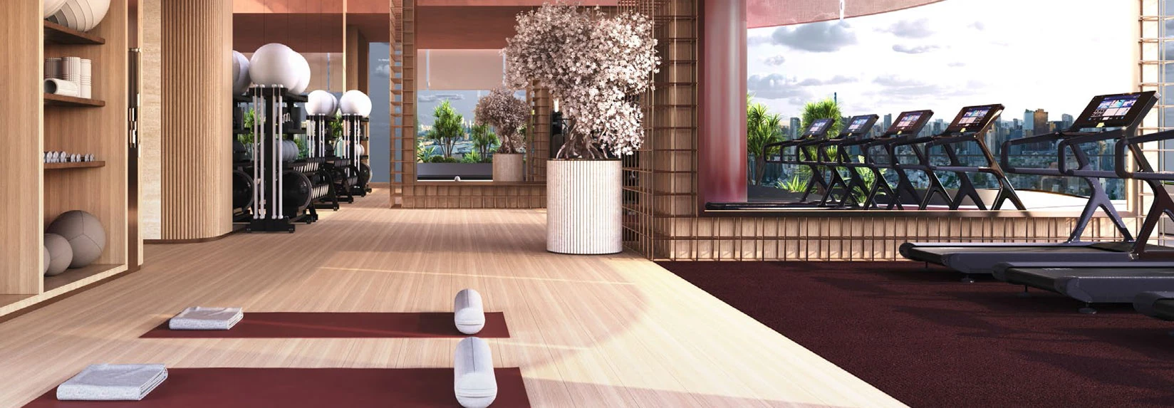 Binghatti Skyblade gym