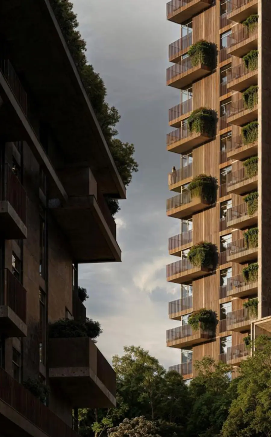 Rise by Athlon ext - 1