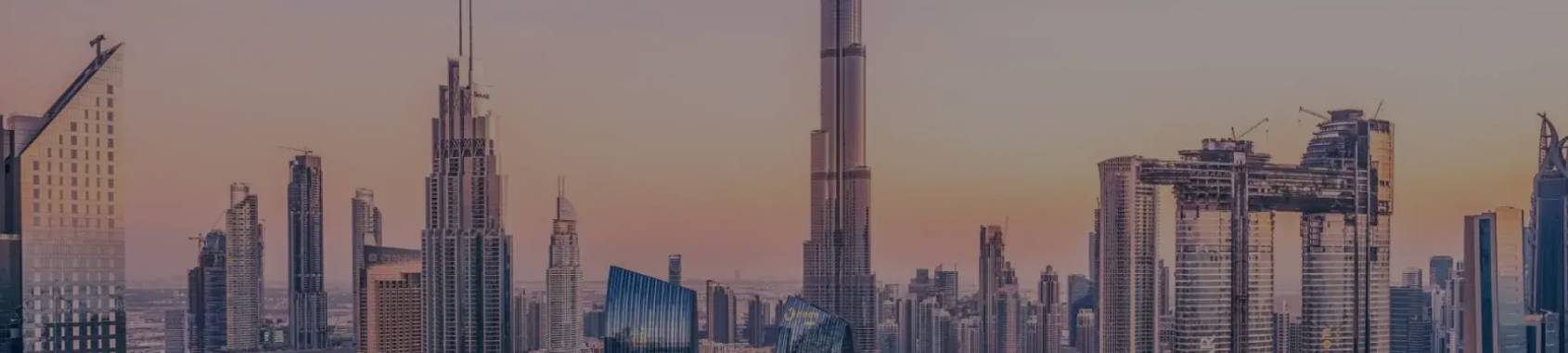 banner 1